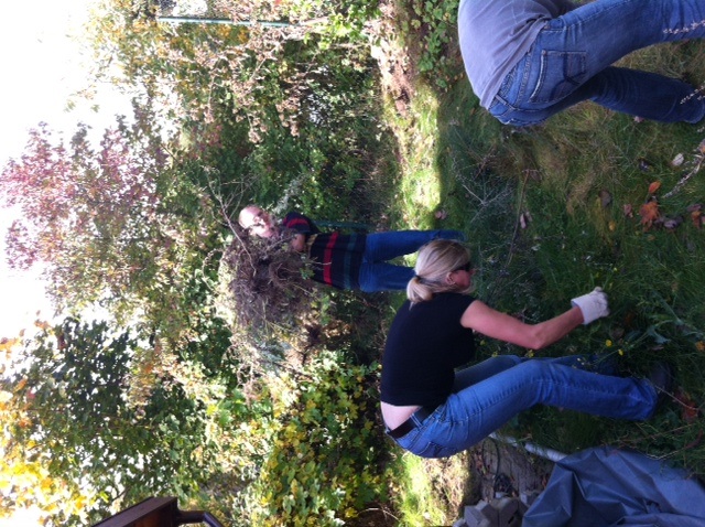 Ab durch die Hecke :D