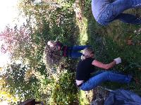 Ab durch die Hecke :D