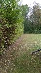 die sauber frisierte Hecke