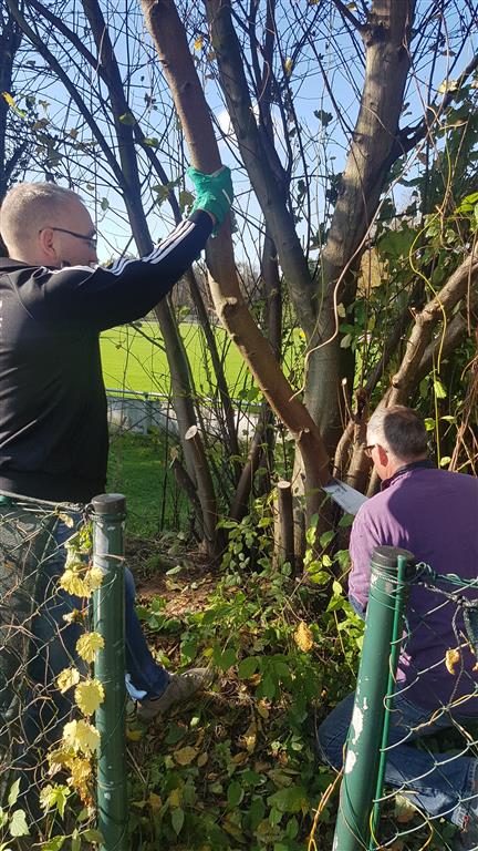 Gert und Peter schneiden die Hecke