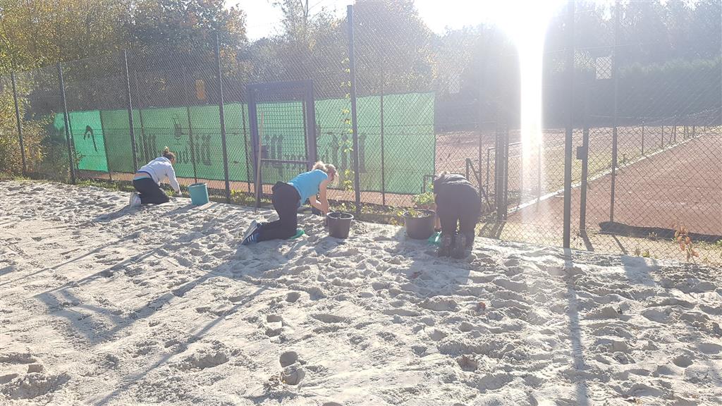 Die Beacherinnen jäten Unkraut