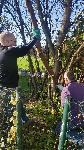 Gert und Peter schneiden die Hecke