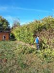 Hecke schneiden 3