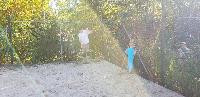 der blöde Schachtelhalm muss weg