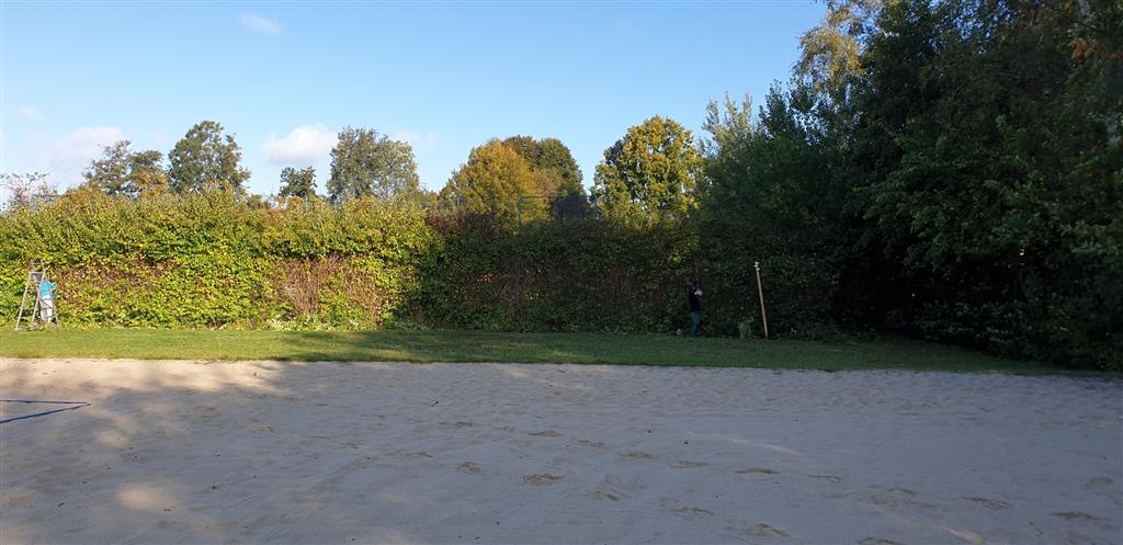 Hecke vorher