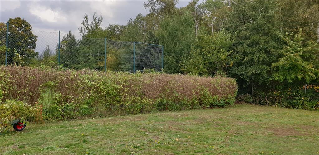 Hecke hinterher
