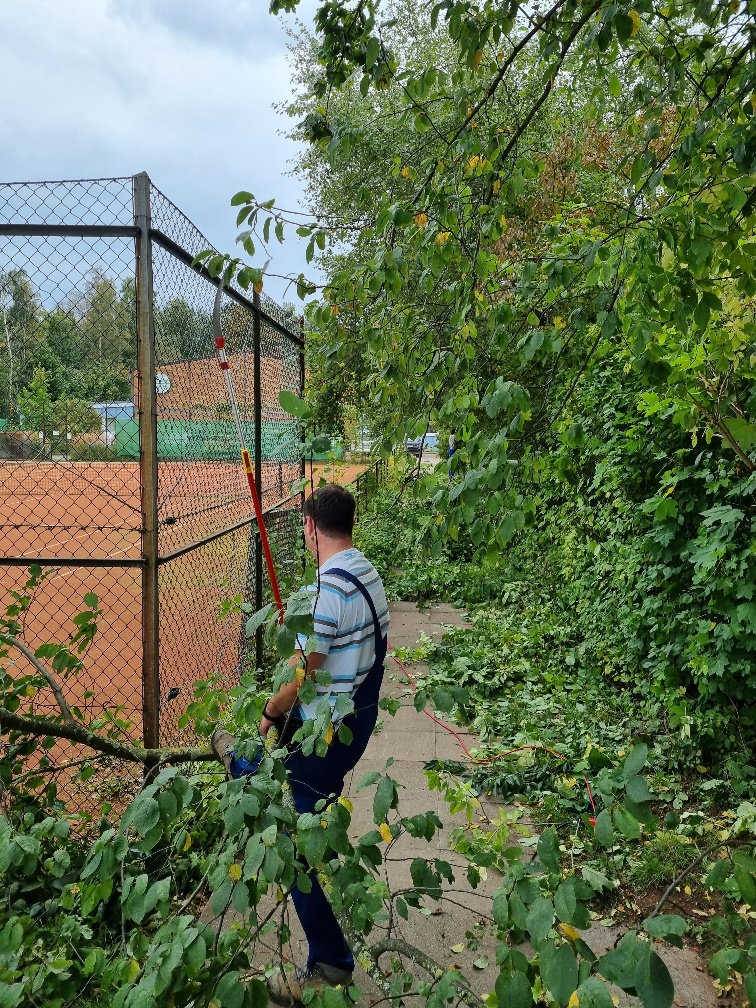 lange Säge