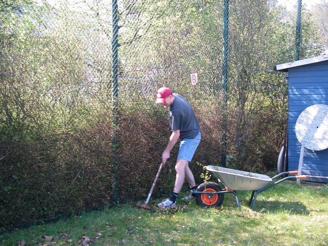 Die Hecke ist verhältnismäßig beliebt.