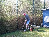 Die Hecke ist verhältnismäßig beliebt.
