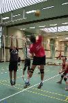 Robin im Angriff